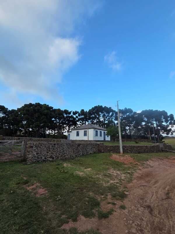 Fazenda, 211 hectares - Foto 6