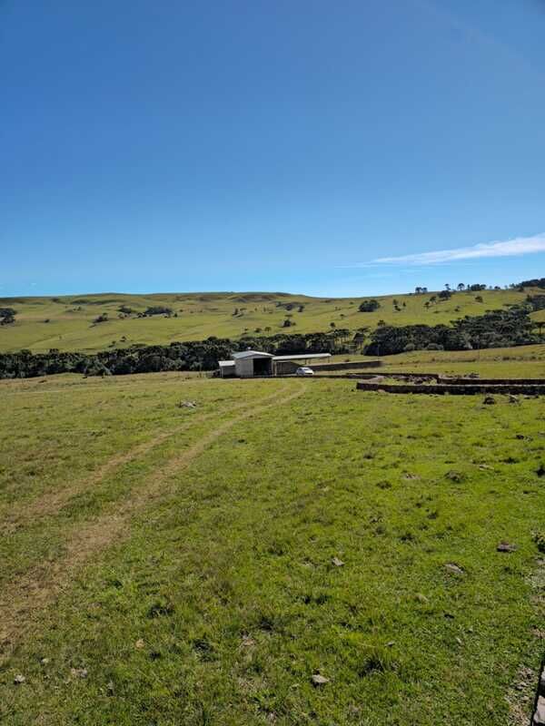 Fazenda, 211 hectares - Foto 15