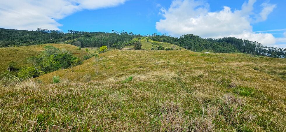 Terreno, 4 hectares - Foto 4