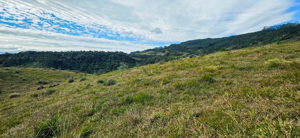 Terreno, 4 hectares - Foto 13