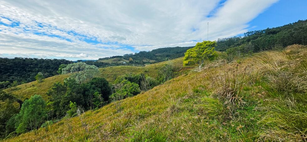 Terreno, 4 hectares - Foto 10