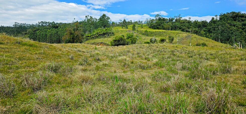 Terreno, 4 hectares - Foto 6
