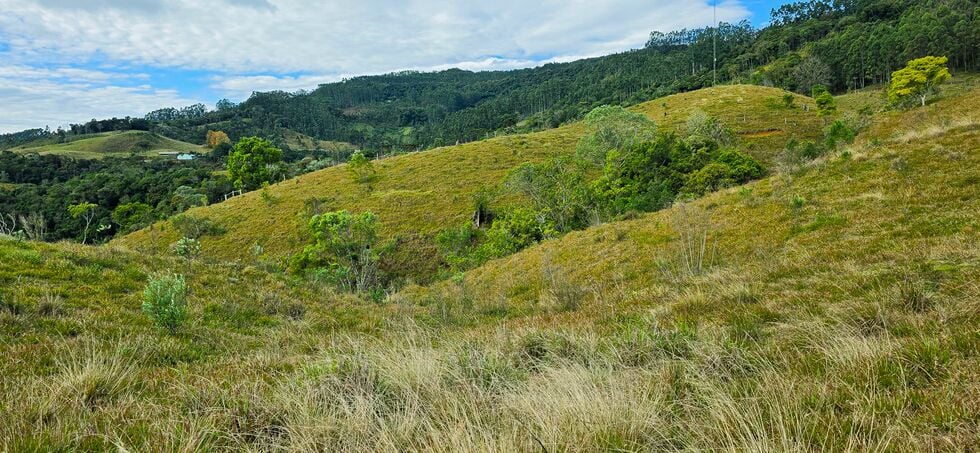 Terreno, 4 hectares - Foto 12