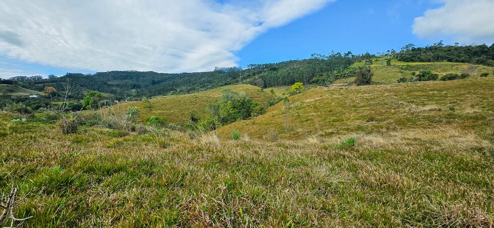 Terreno, 4 hectares - Foto 7