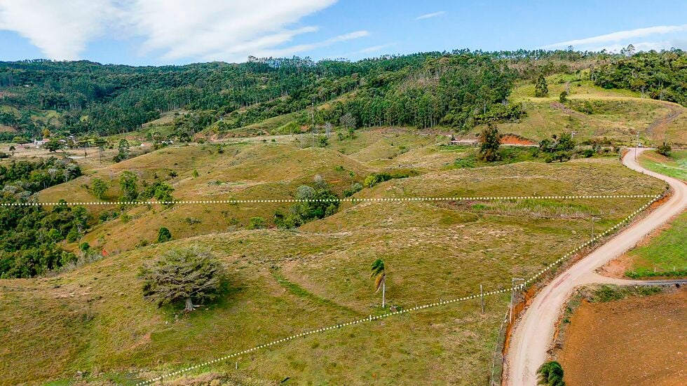 Terreno, 4 hectares - Foto 8
