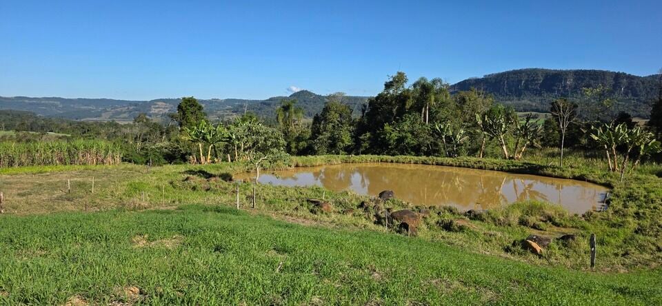 Chácara, 2 quartos, 5 hectares - Foto 4