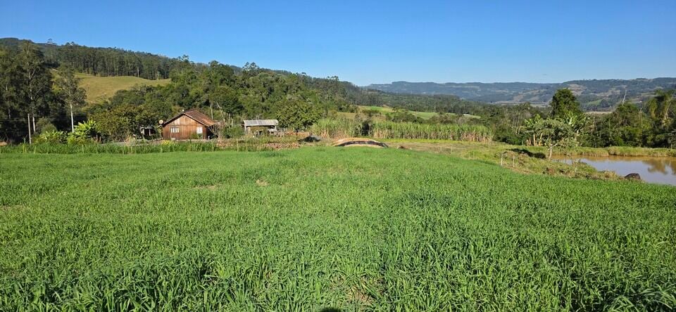 Chácara, 2 quartos, 5 hectares - Foto 11
