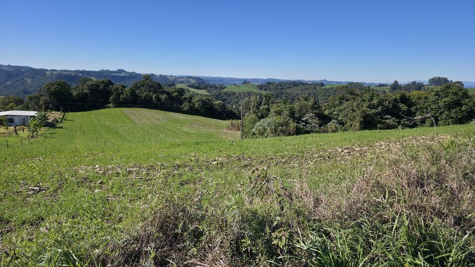 Terreno, 5 hectares - Foto 6