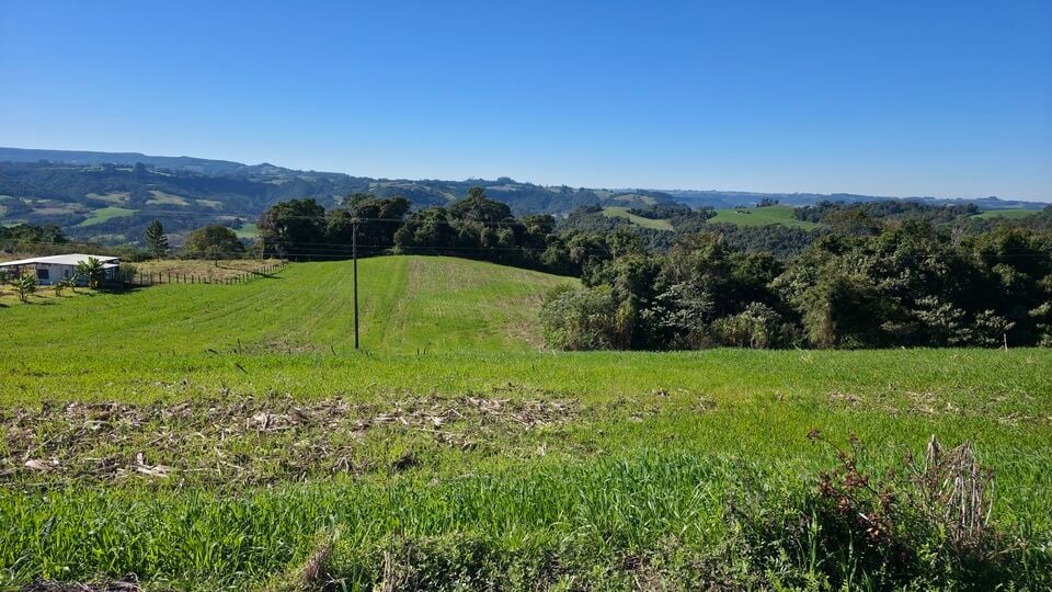 Terreno, 5 hectares - Foto 8