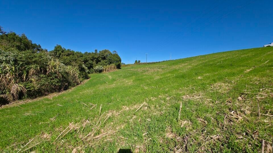 Terreno, 5 hectares - Foto 4