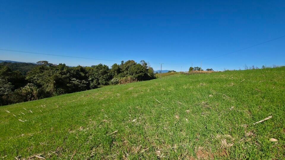 Terreno, 5 hectares - Foto 9