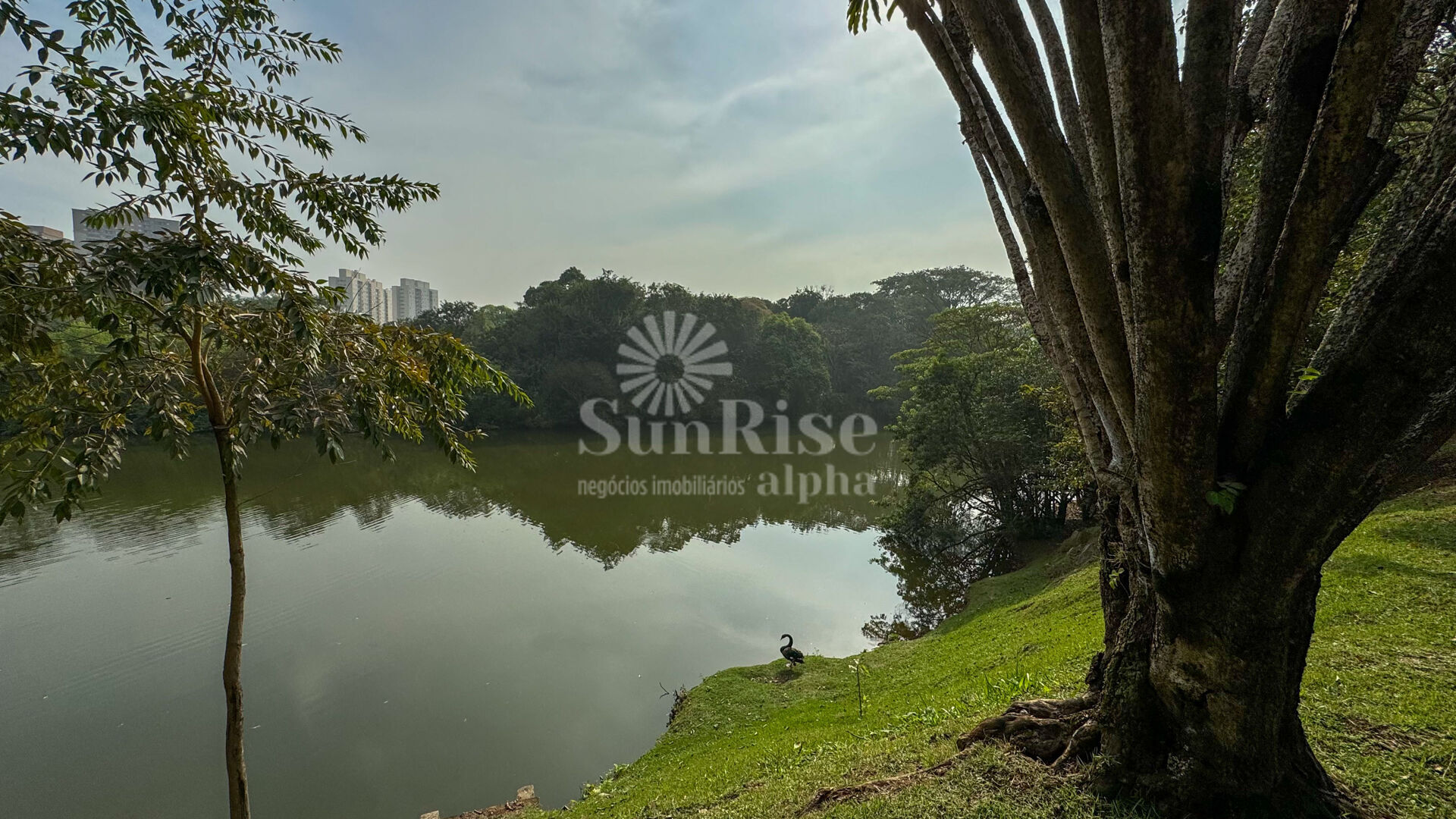 Casa, Alphaville Residencial Dois, Barueri - foto 45