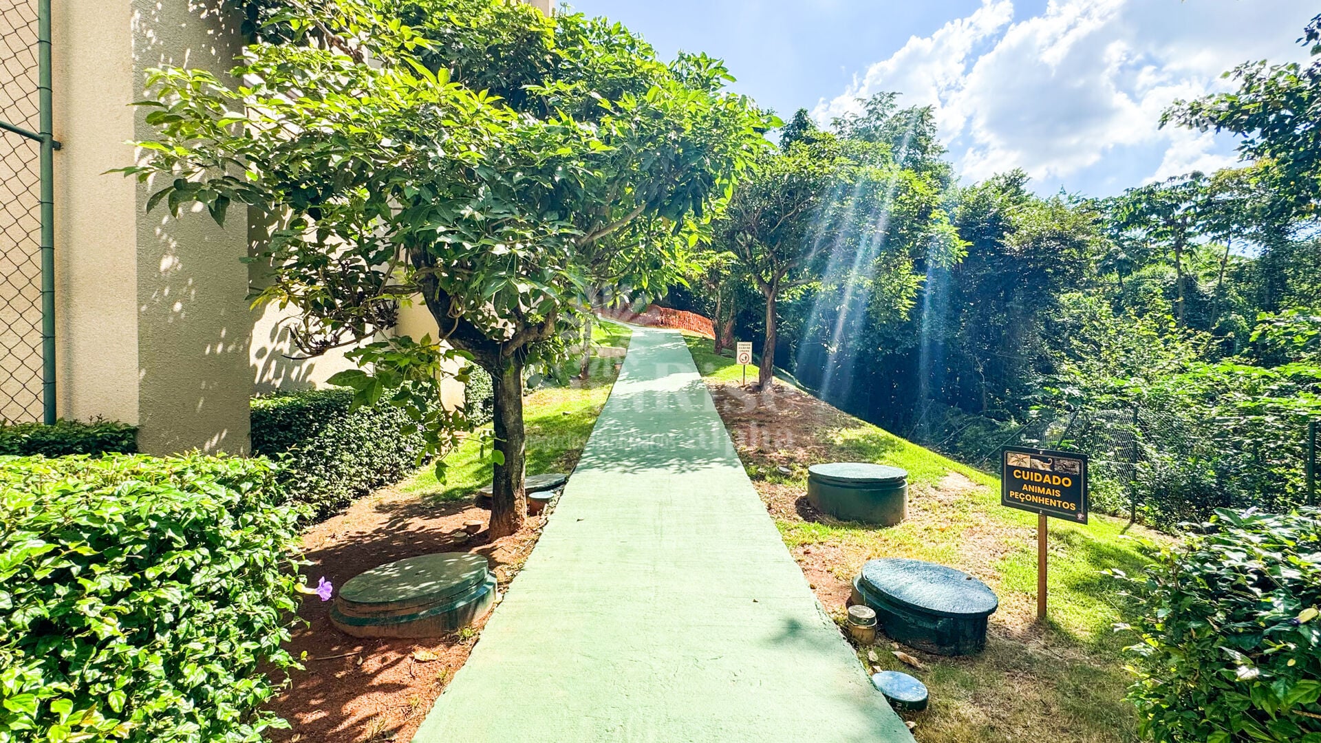 Apartamento, Alpha Conde I, Barueri