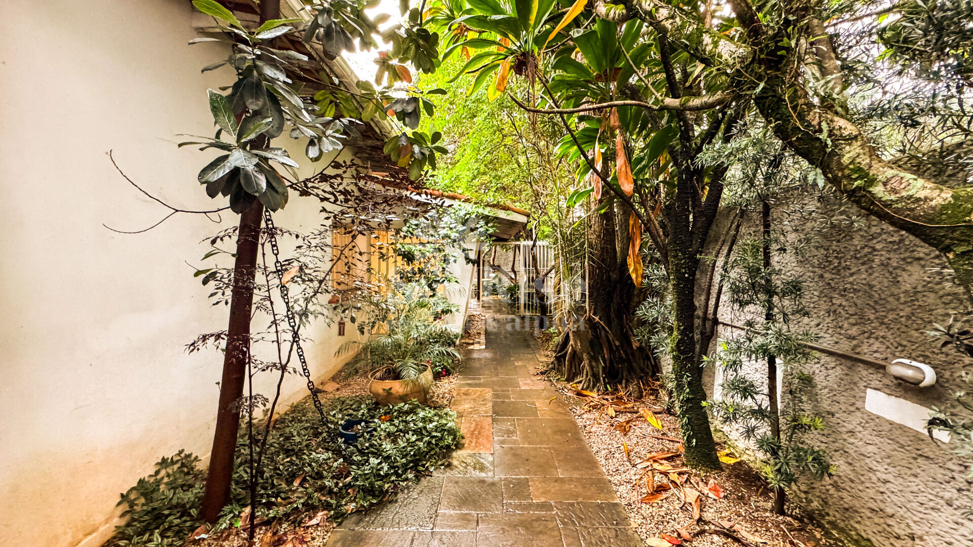 Casa, Vila Clementino, Sao Paulo