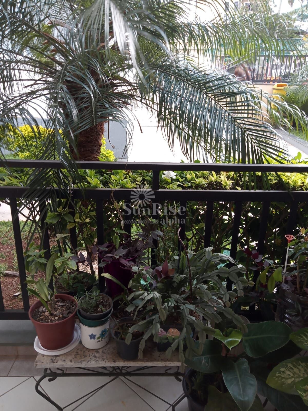 Apartamento, Jardim São José, Barueri