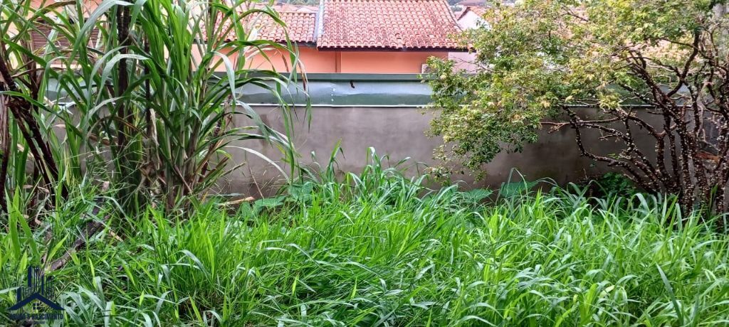 Terreno à venda com 250m² de terreno no Parque São George, Cotia (SP) — foto 7 de 10