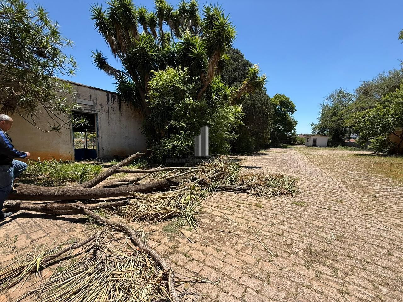 Terreno, 8350 m² - Foto 11