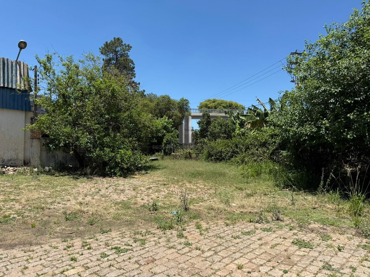 Terreno, 8350 m² - Foto 9