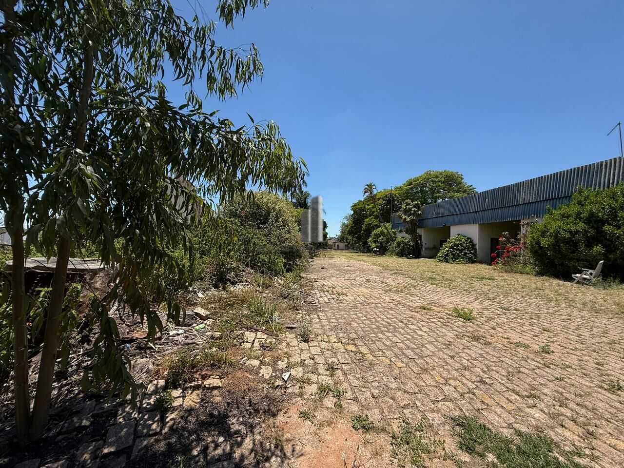 Terreno, 8350 m² - Foto 13