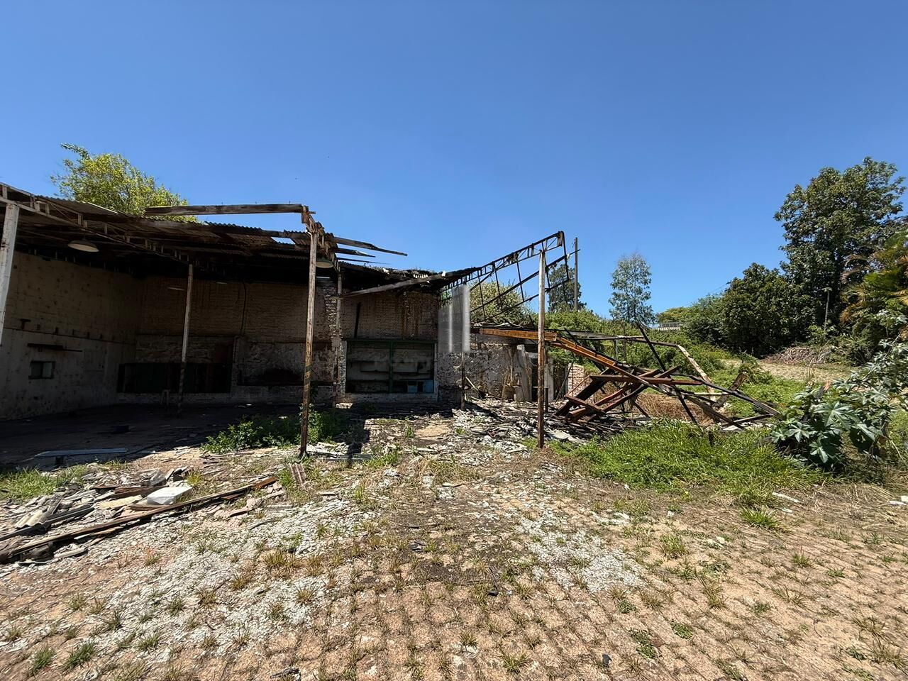 Terreno, 8350 m² - Foto 6