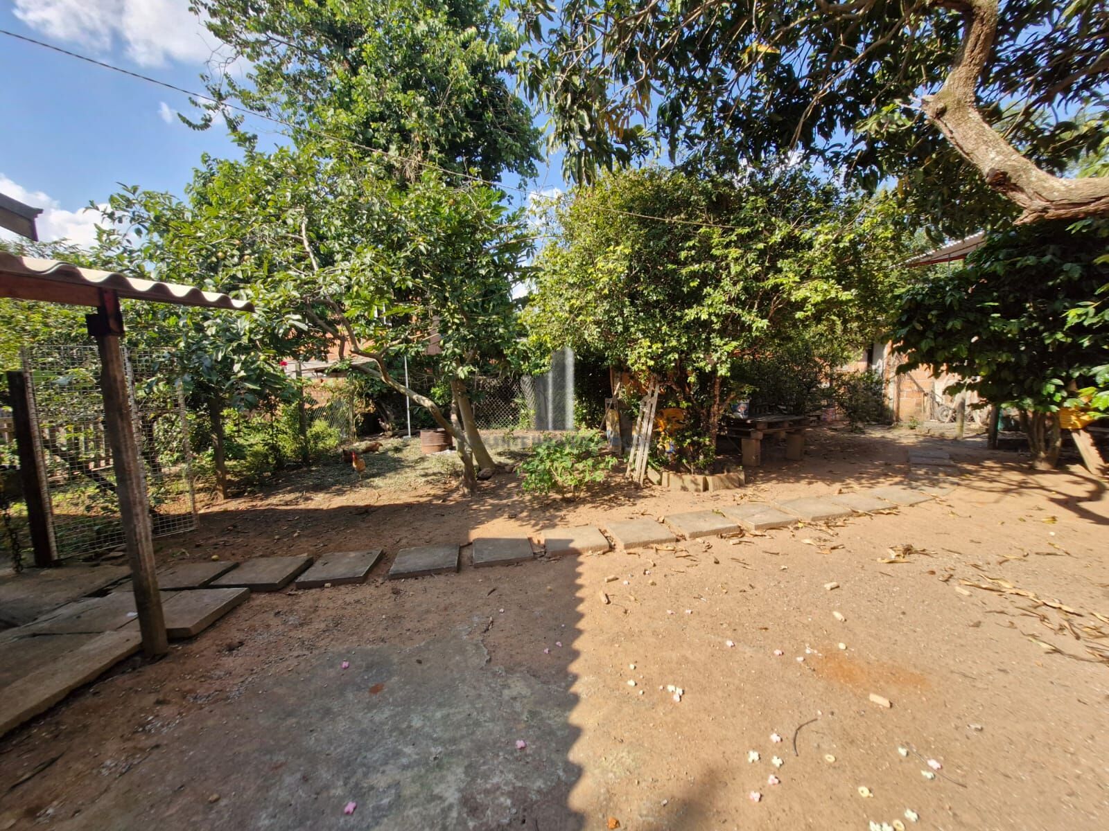 Chácara, 3 quartos, 1000 m² - Foto 39