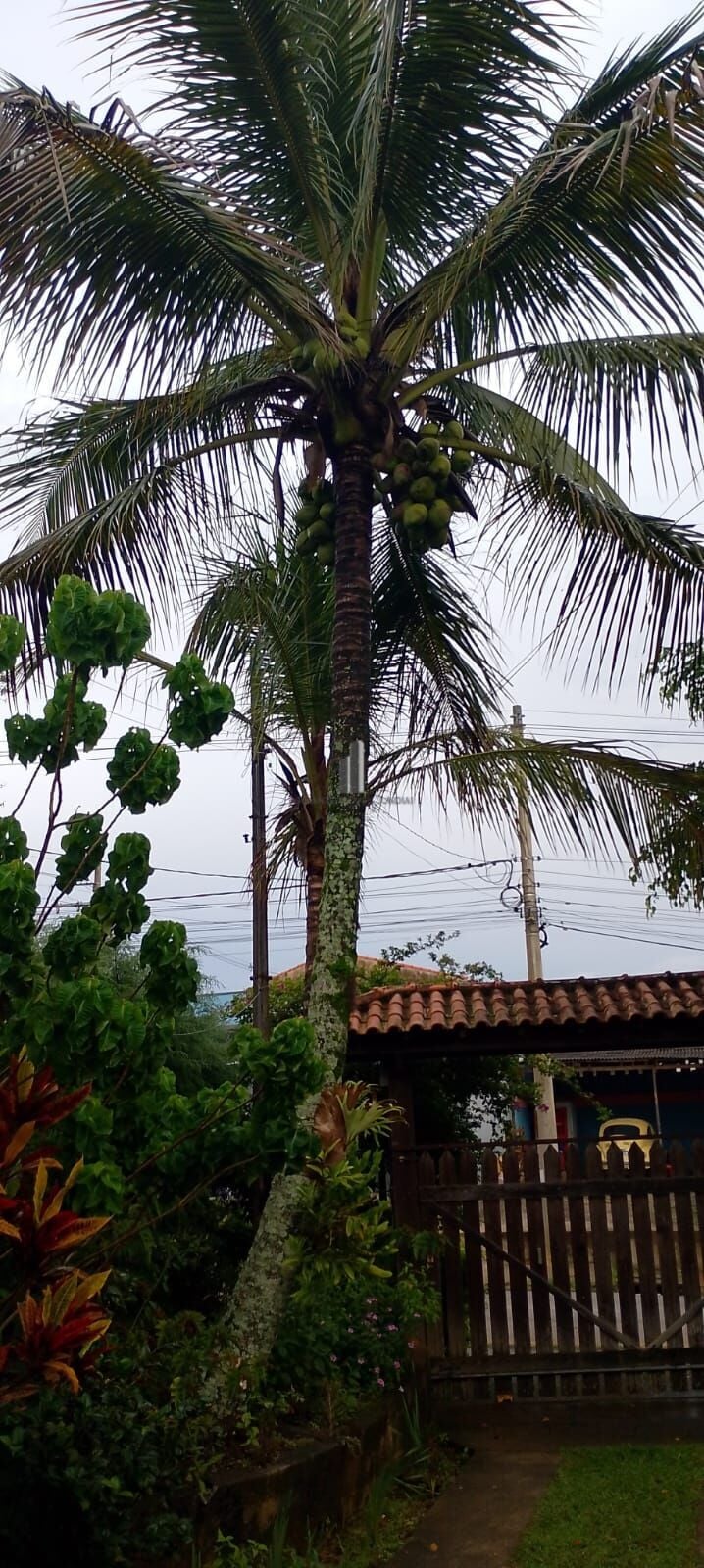 Chácara, 3 quartos, 1000 m² - Foto 45