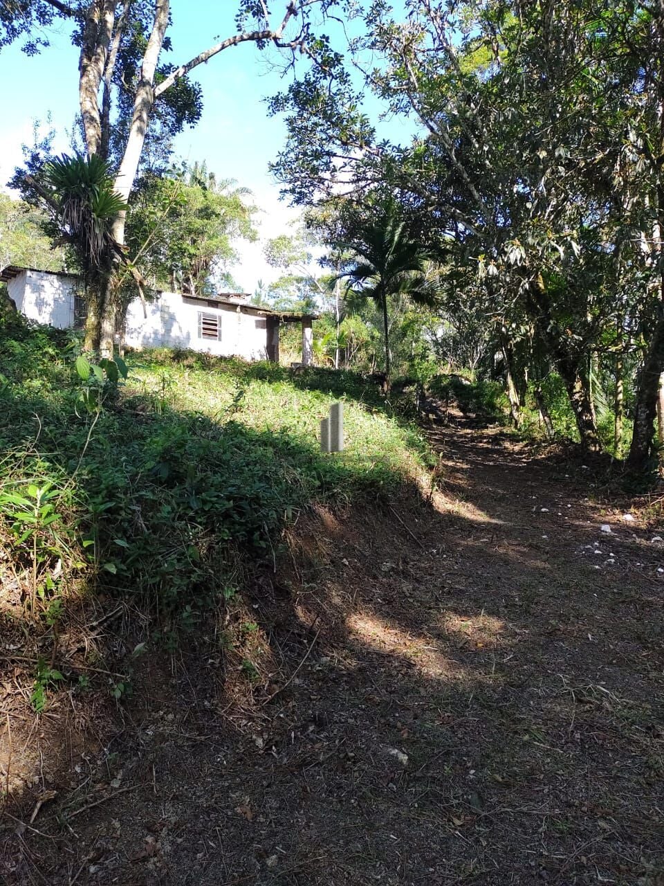 Chácara, 3 quartos, 3 hectares - Foto 3
