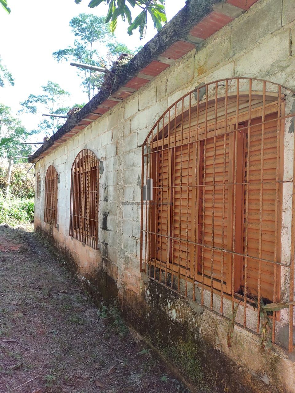 Chácara, 3 quartos, 3 hectares - Foto 7
