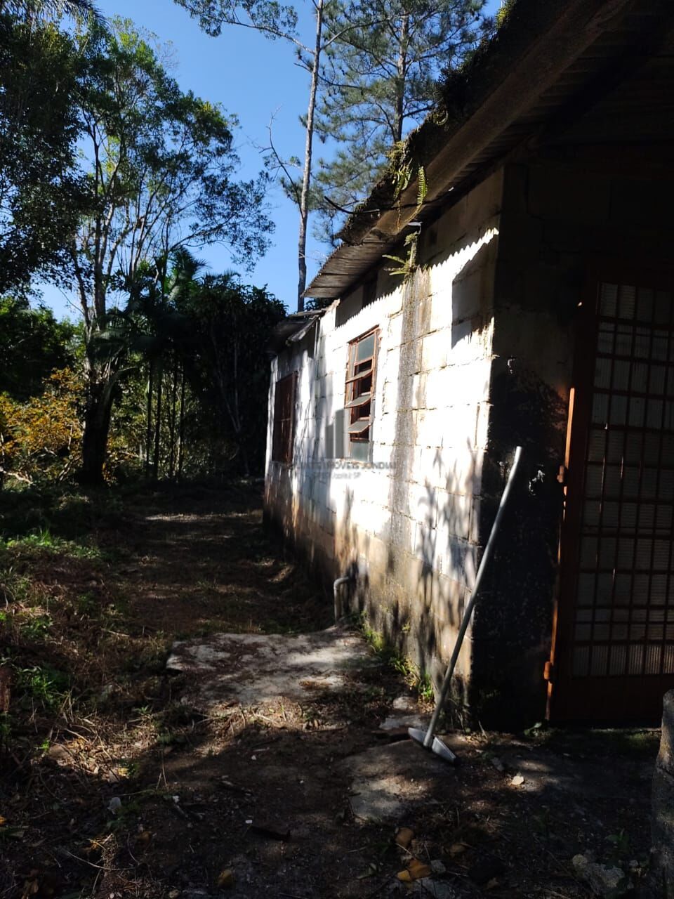 Chácara, 3 quartos, 3 hectares - Foto 11