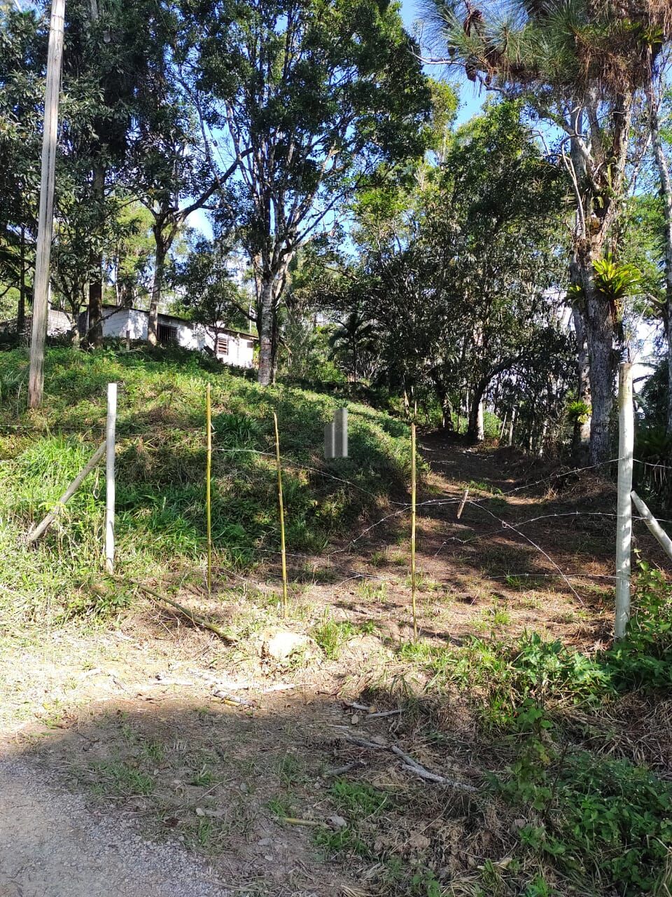 Chácara, 3 quartos, 3 hectares - Foto 2