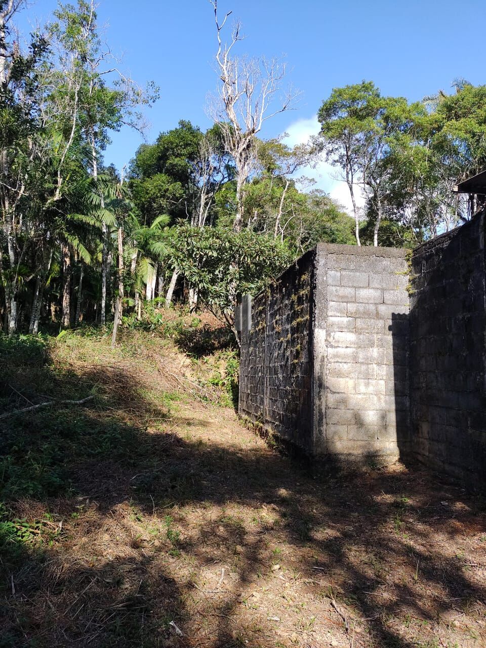 Chácara, 3 quartos, 3 hectares - Foto 6
