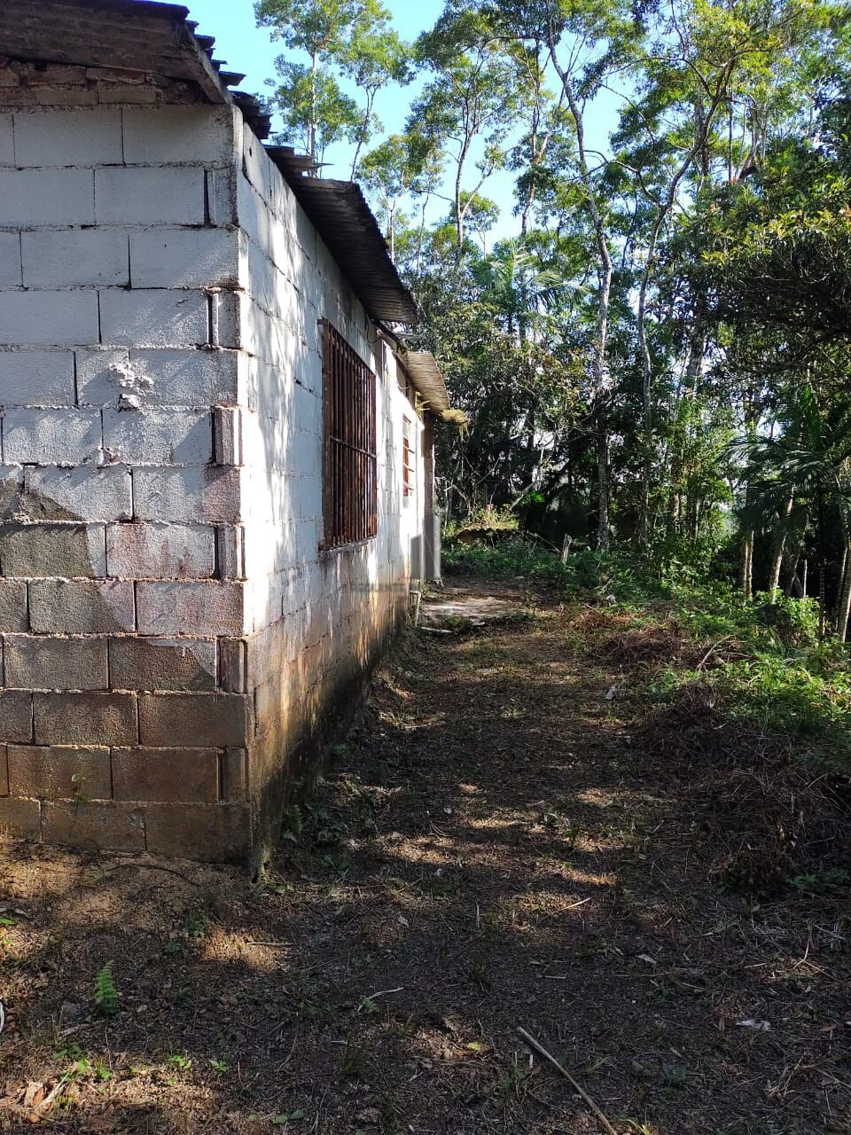 Chácara, 3 quartos, 3 hectares - Foto 12