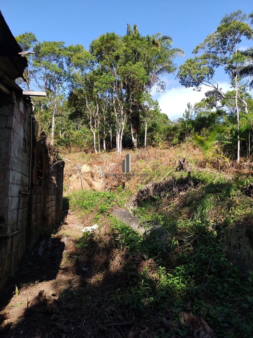 Chácara, 3 quartos, 3 hectares - Foto 4