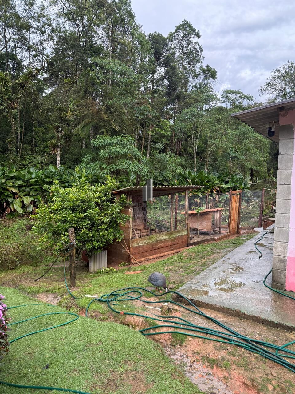Chácara, 2 quartos, 6176 m² - Foto 43