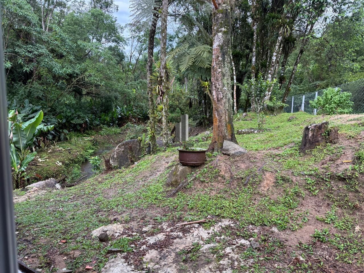 Chácara, 2 quartos, 6176 m² - Foto 30