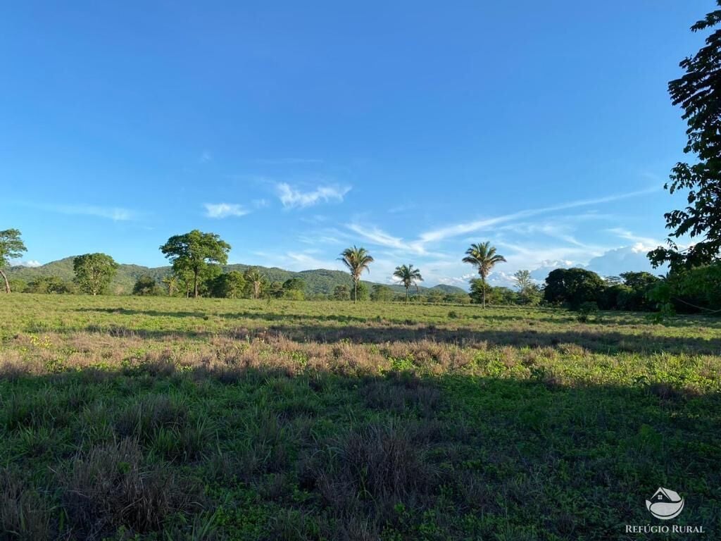 Fazenda, 435 hectares - Foto 9