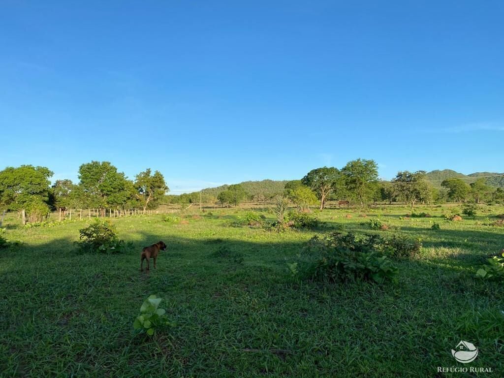 Fazenda, 435 hectares - Foto 19