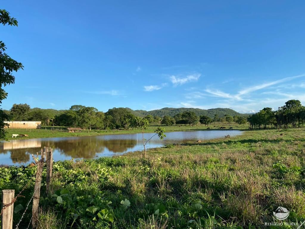 Fazenda, 435 hectares - Foto 18