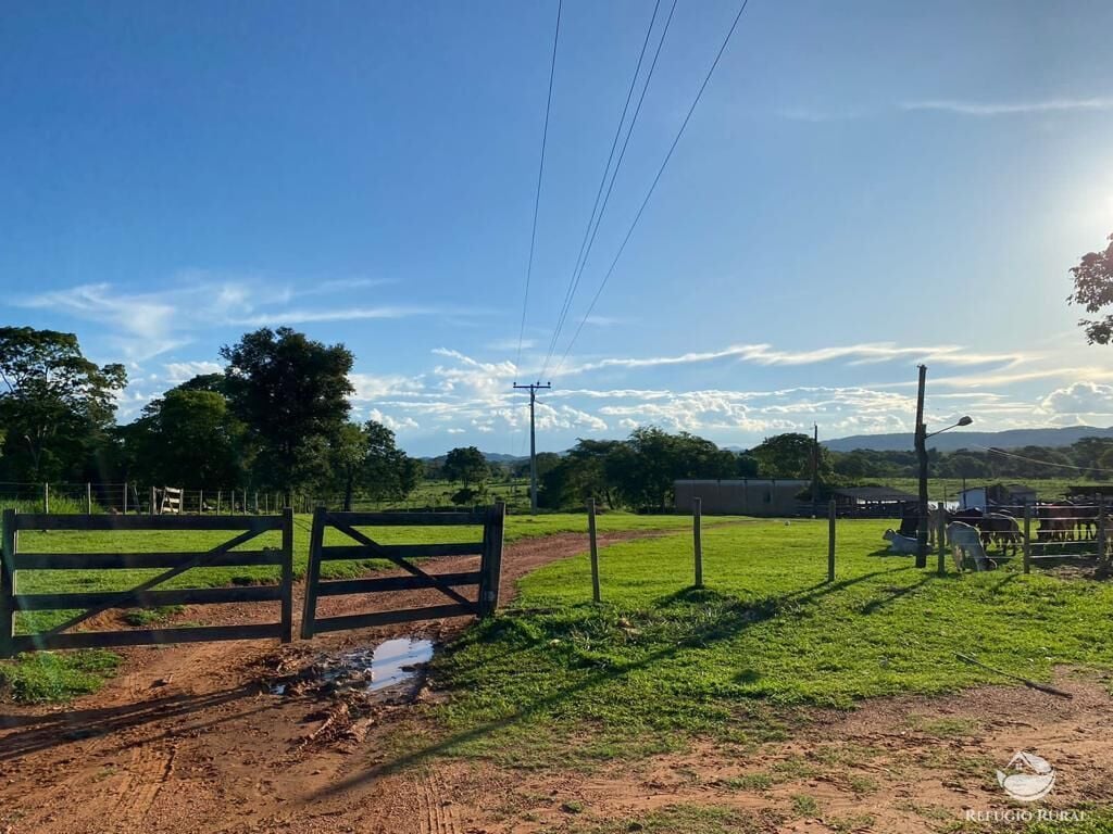 Fazenda, 435 hectares - Foto 6