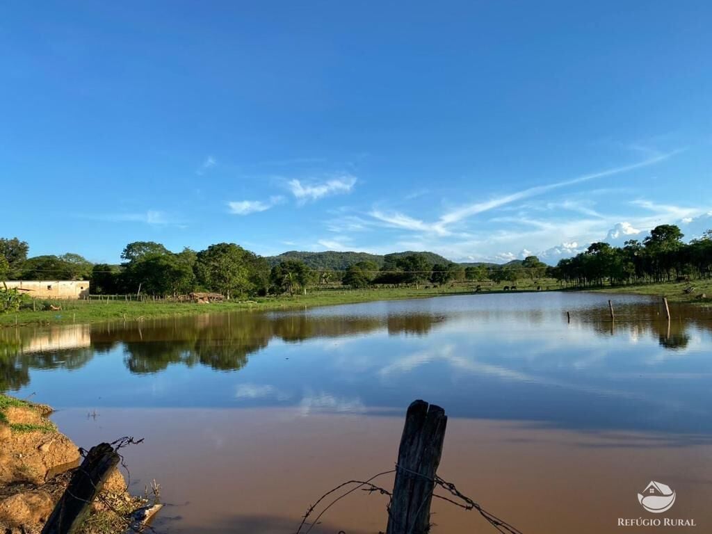 Fazenda, 435 hectares - Foto 11