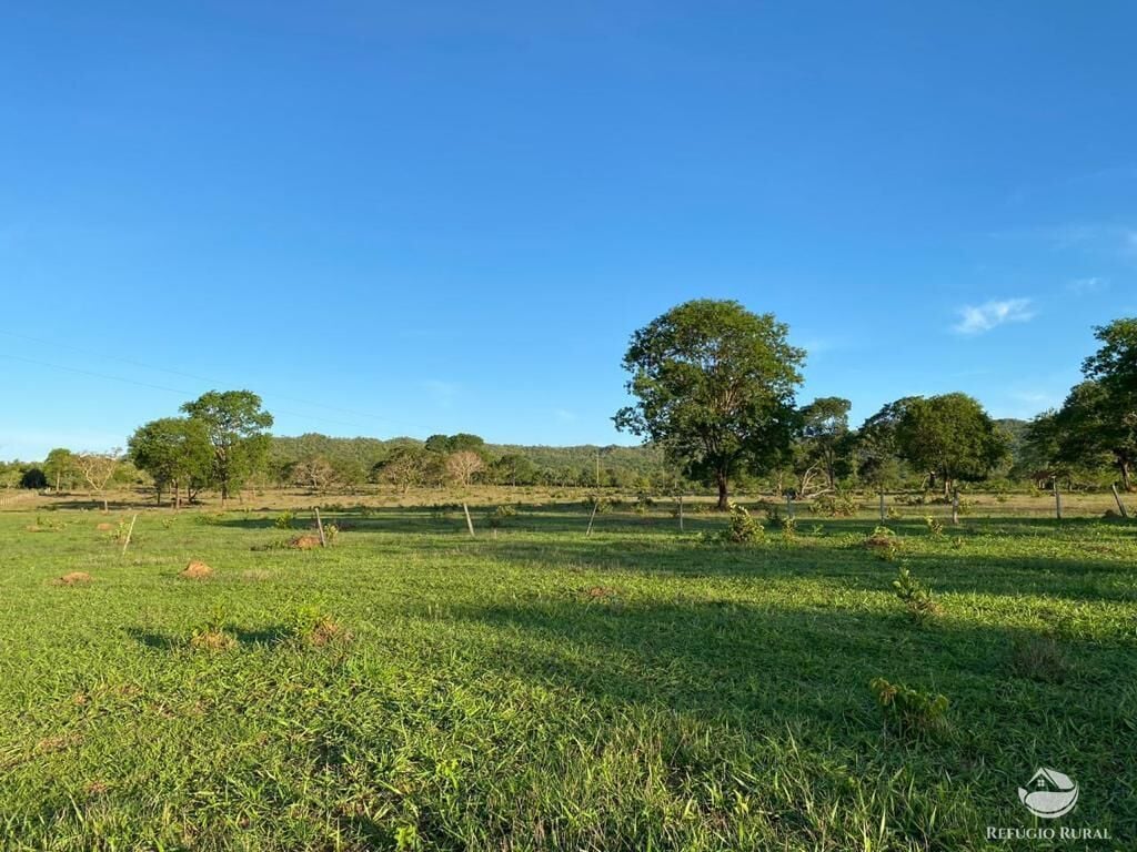 Fazenda, 435 hectares - Foto 17