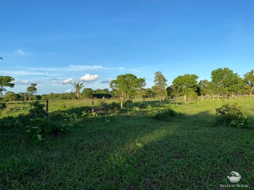 Fazenda, 435 hectares - Foto 12