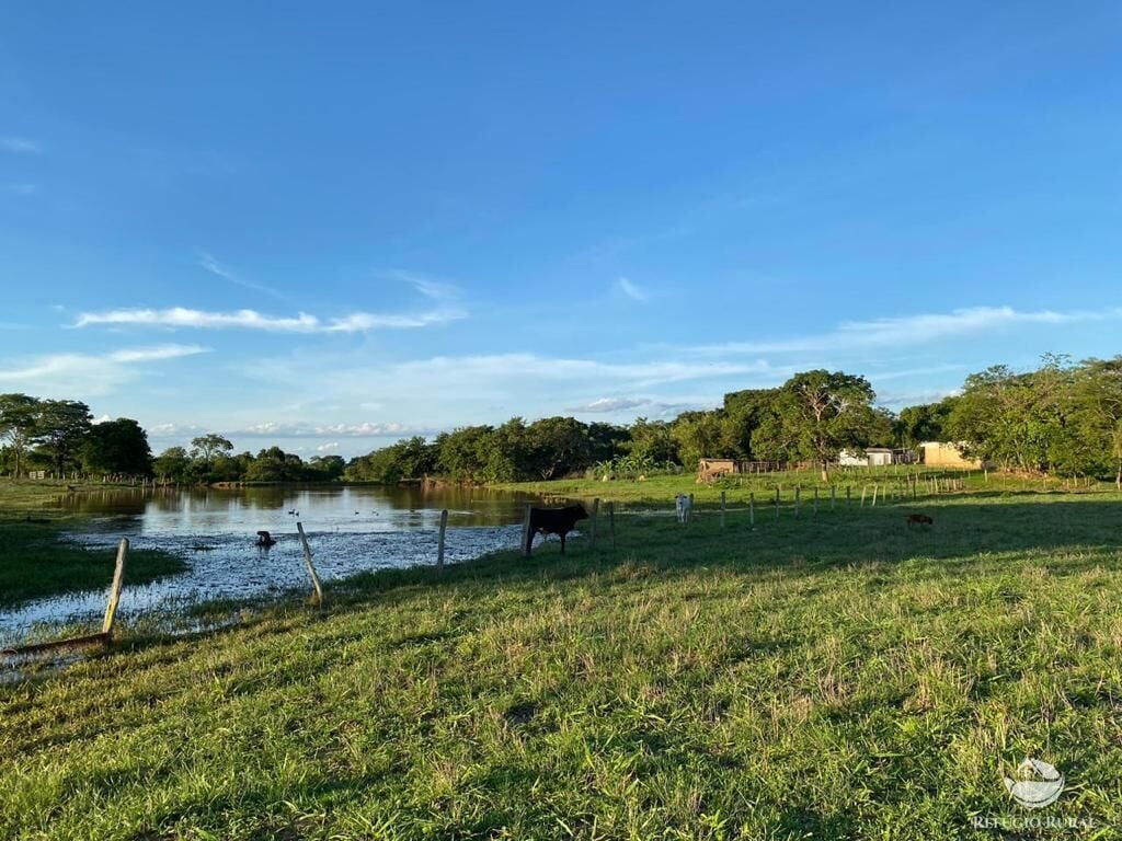 Fazenda, 435 hectares - Foto 13