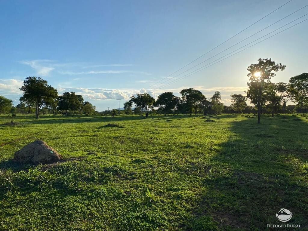 Fazenda, 435 hectares - Foto 15
