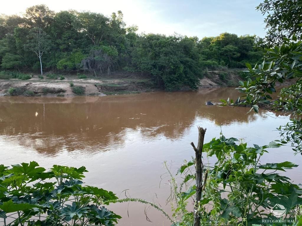 Fazenda, 435 hectares - Foto 8