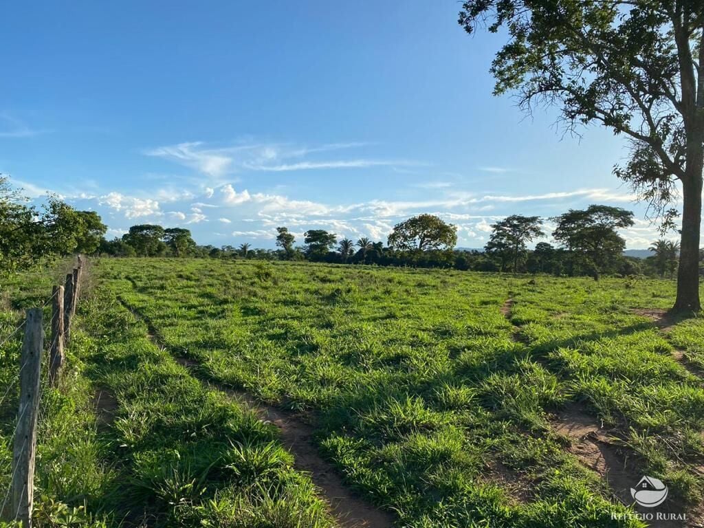 Fazenda, 435 hectares - Foto 10