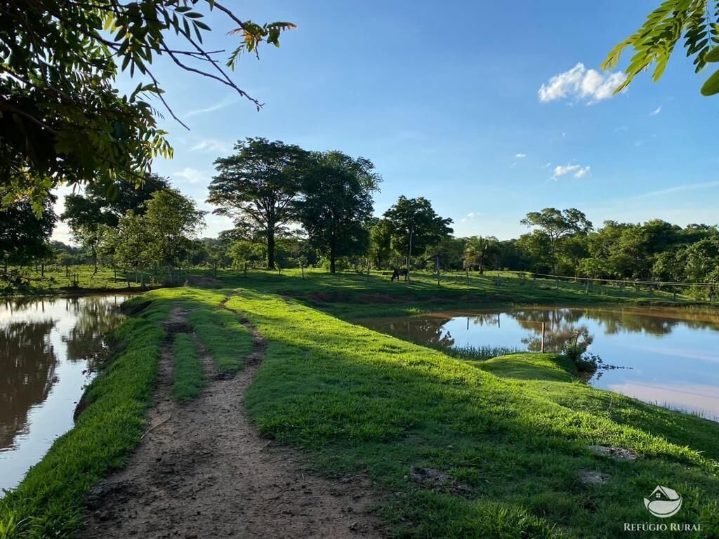 Fazenda, 435 hectares - Foto 16