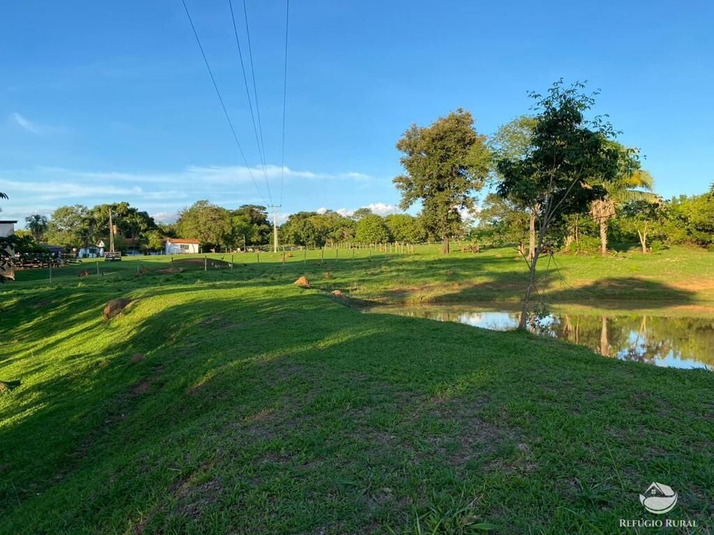 Fazenda, 435 hectares - Foto 14