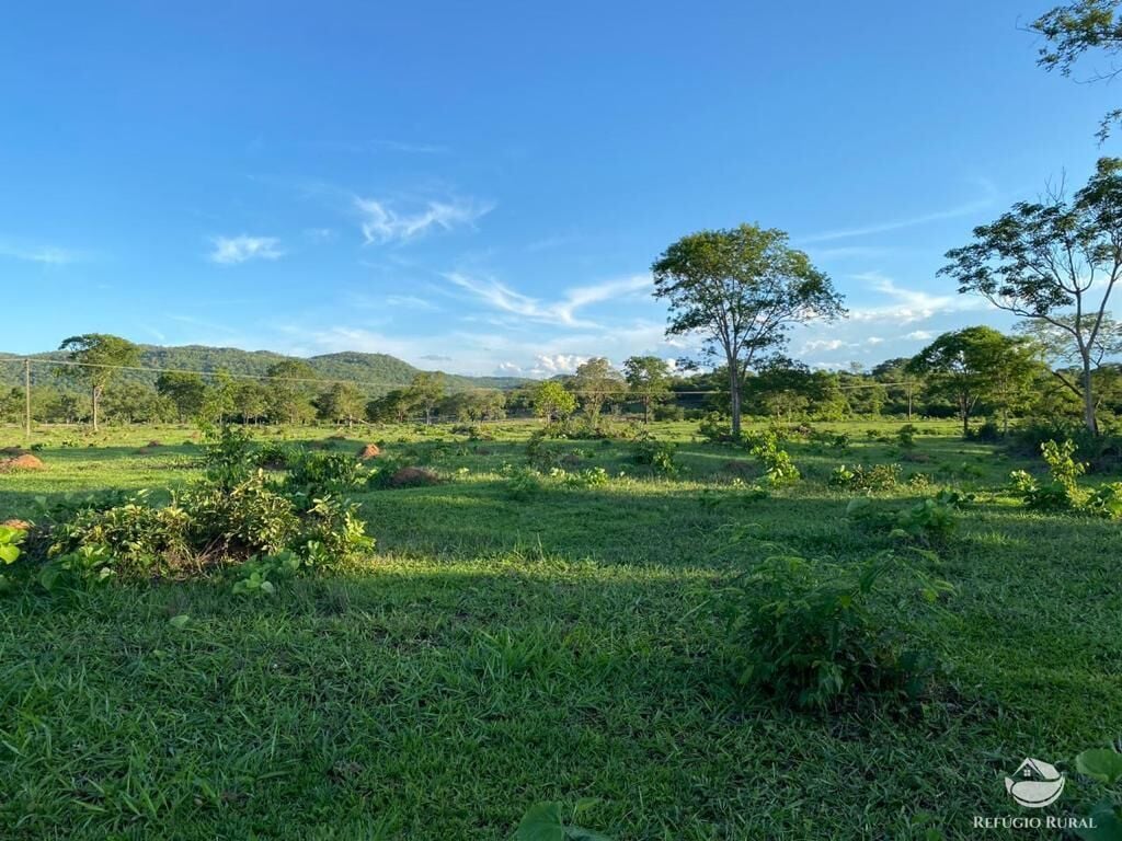 Fazenda, 435 hectares - Foto 7