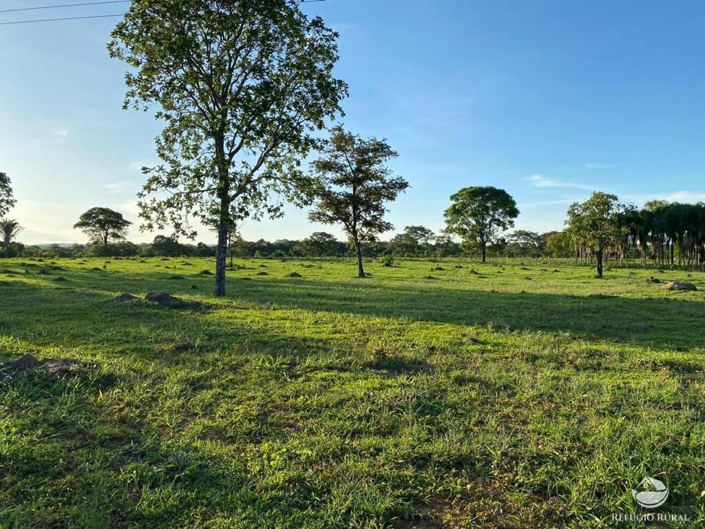 Fazenda, 435 hectares - Foto 20